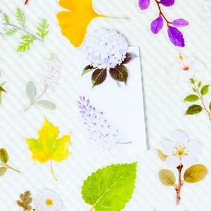 Macro shot of 56pcs transparent PET botanical stickers featuring floral and leaf patterns