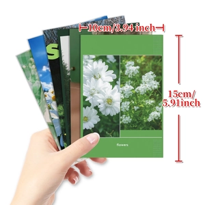 Set di 50 cartoline murali a tema fiori verdi con margherite e stampe botaniche