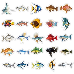 Lot de 50 autocollants de pêche colorés pour la décoration de valises et ordinateurs