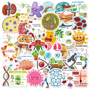 Biology Science Education Stickers Waterproof Cartoon Anatomy Life Cycle Laptop Luggage Guitar Decals For Kids Students Teachers
