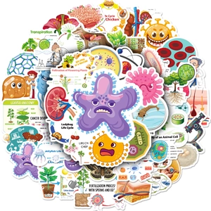 50pcs waterproof cartoon biology science stickers for laptop guitar and DIY decoration