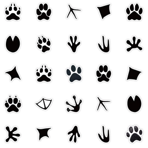 Set of 25 black animal paw print stickers with white borders in a professional grid layout