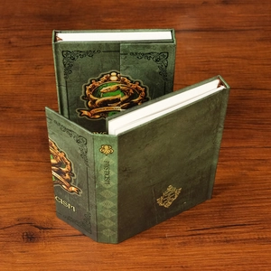 Détail de carnets d'académie magique verts vintage avec emblème de serpent argenté