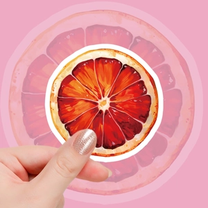 Detailed view of a watercolor blood orange sticker held to show its 4-5cm compact size