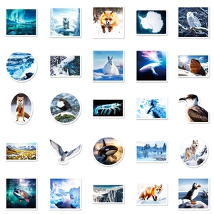 Lot de 50 stickers polaires étanches avec animaux de l'Arctique et paysages de glaciers