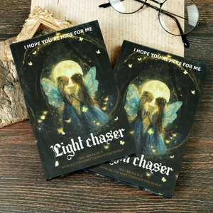 Fantasy fairy series hardcover notebook with 'Light Chaser' illustration on wooden desk