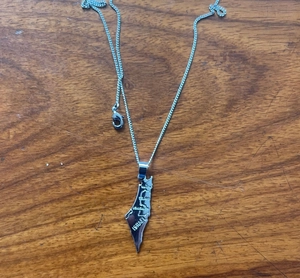 Silver Israel map necklace featuring engraved city names on a polished metal pendant