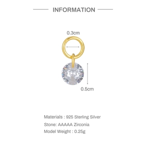 Makro-Detail eines S925 Sterlingsilber-Anhängers mit einem 5mm AAAAA Zirkonia-Stein