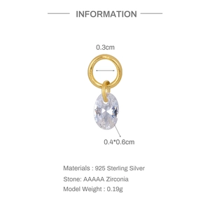 Makro-Detail des S925 Sterling Silber Ohrring-Anhängers mit AAAAA Zirkonia Stein