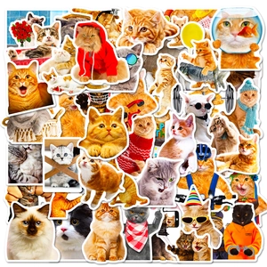 Funny Cat Stickers Waterproof PP Decals Realistic Photo Cat Meme Stickers For Laptop Water Bottle Scrapbook Animal Decor