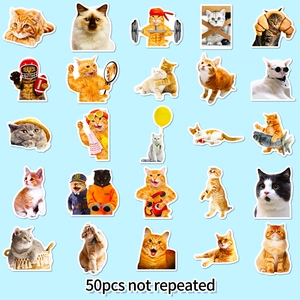 Detailed grid display of 50 unique funny cat stickers with various realistic feline memes