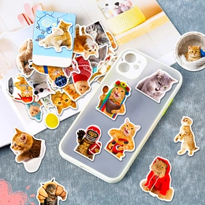 Detailed funny cat stickers showing anthropomorphic designs on a phone case and blue gift box