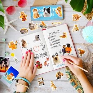 Scrapbooking view of funny cat stickers with beach props on a white wooden desk