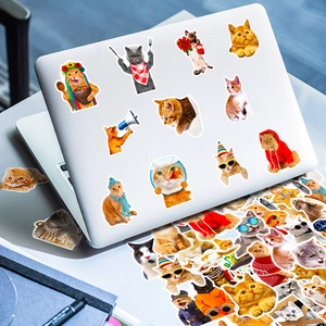 Realistic funny cat stickers displayed on a laptop lid with various humorous cat expressions