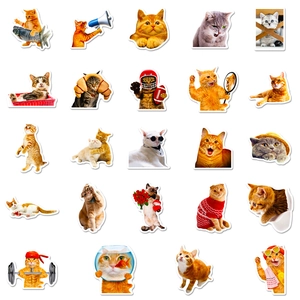 Set of 25 funny realistic cat stickers featuring various humorous human-like poses for decor