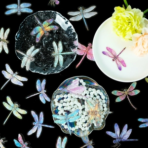 Macro shot of colorful 3D holographic dragonfly PET stickers for scrapbooking and DIY crafts