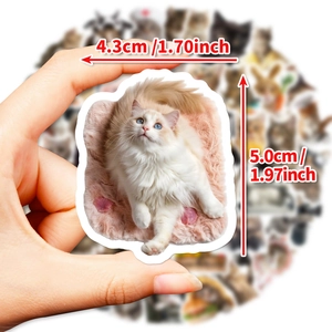 Cute ragdoll cat sticker on pink cushion, 5.0cm waterproof PVC decal for luggage