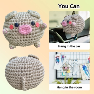 Handgemaakt haakpakket varkentje voor autospiegel hanger en kamer decoratie DIY