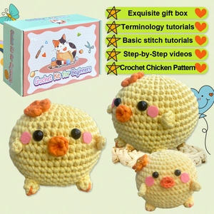 Détail du kit de crochet pour poussins mignons incluant l'emballage et les modèles finis