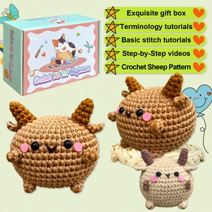 Crochet kit for beginners featuring cute sheep dolls and exquisite cat-themed gift box