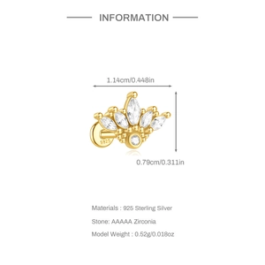 Detailweergave van de gouden S925 zilveren oorsteker met een kroonontwerp van zirkonia