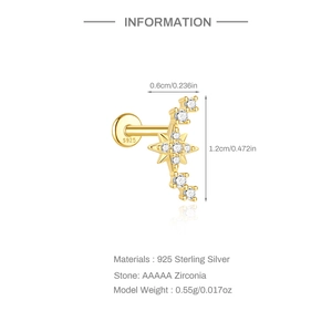 Makro-Detail des S925 Sterling Silber Stern-Ohrsteckers mit AAAAA-Zirkonia Steinen