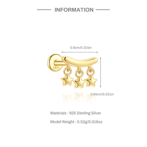 Detailansicht goldener Stern-Ohrhänger aus 925er Sterlingsilber mit S925-Stempelung