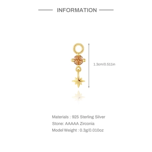 Dettaglio ciondolo a stella in argento sterling 925 con zircone AAAAA marrone dorato