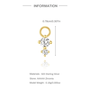 Details von 925 Silber Anhänger mit AAAAA Zirkonia Steinen und Goldbeschichtung