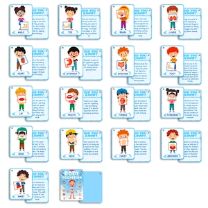 Educational 36-piece human body parts flashcards set for kids with colorful organ anatomy