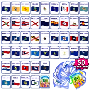 Educational US State Flags Knowledge Flashcards Learning Cognitive Literacy Cards For Children Geographical Map Teaching Toys