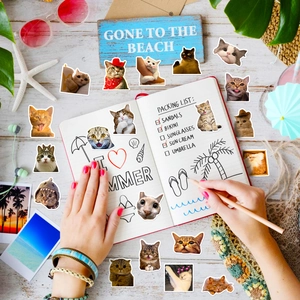 Flat lay of cute cartoon cat stickers on a wooden desk with summer beach decor elements
