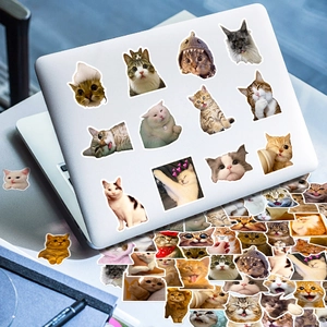 Detailed view of various cute cat stickers on a laptop featuring funny feline expressions