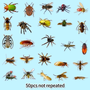 50 pieces of realistic vintage insect stickers featuring colorful beetles and diverse bugs