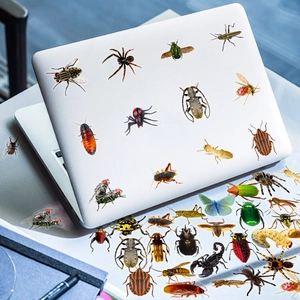 Detailed realistic insect stickers applied on laptop for prank and decoration