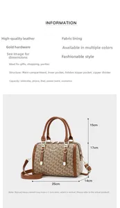 Detailed size specifications for brown patterned doctor bag with golden hardware and interior layout