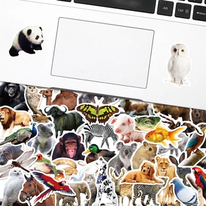 50 autocollants animaux réalistes pour enfants sur ordinateur, motifs panda, hibou et lion