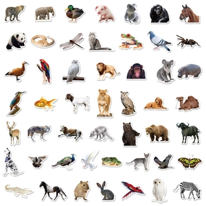 Lot de 50 autocollants d'animaux du zoo réalistes pour enfants aux graphismes détaillés