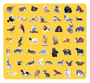 Autocollants d'animaux réalistes détaillés avec 42 espèces sur un fond jaune vif