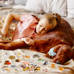 Foto lifestyle de pegatinas de perros con diseños de Golden Retriever y Dálmata