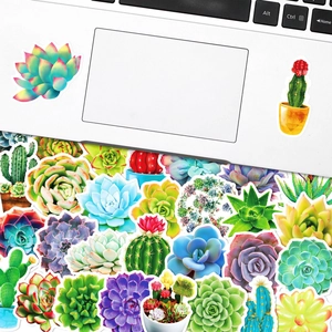 50pcs succulent plant stickers pack colorful cactus decals for laptop and luggage