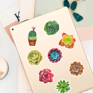 Close-up of seven assorted succulent plant stickers on a golden tablet surface