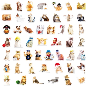 Detailed view of 50 waterproof PVC cat stickers featuring various cute breeds in outfits