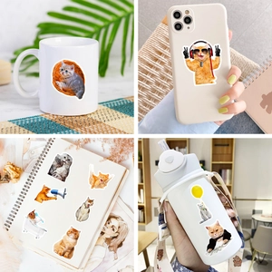 Realistic cat stickers shown on phone cases, mugs, and notebooks in various life scenes