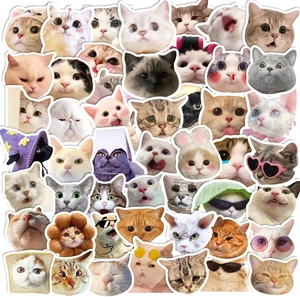 Adesivi Meme Gatto Divertenti Decalcomanie in Vinile Impermeabili per Laptop Bottiglia d'Acqua Bagagli Skateboard Scrapbook Simpatici Adesivi per Animali per Bambini Ragazzi Decor