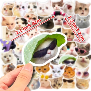 Dettaglio dell'adesivo con gatto e occhiali da sole, dimensioni 5,4 x 3,2 cm