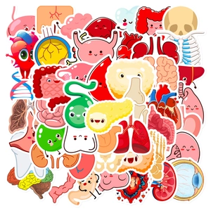 50-piece set of kawaii human organ cartoon stickers for student learning and decoration