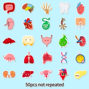 50pcs set of colorful cartoon human organ stickers with cute educational designs