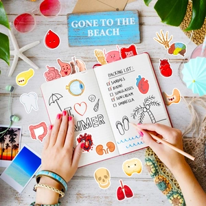 Close-up of cute cartoon body organ stickers including heart and brain for scrapbooking
