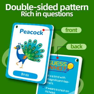 Close-up of double-sided peacock learning cards with interactive riddles and round corners